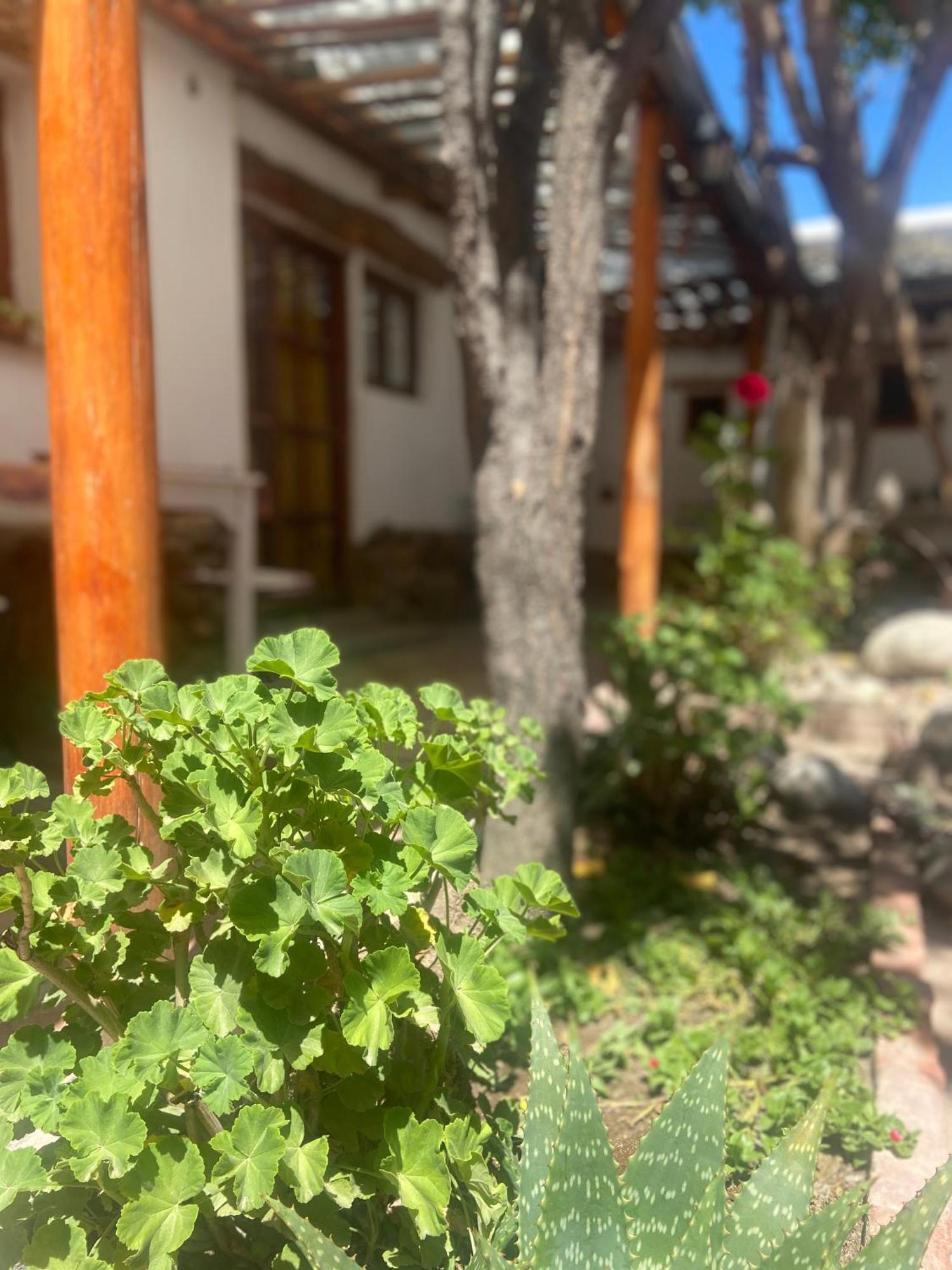 Hostal Tierra Andina Cafayate Eksteriør bilde